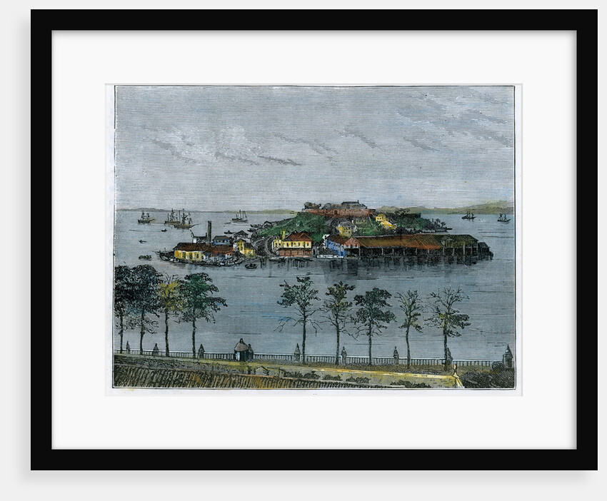 View of The isle of Serpents, in the Bay of Rio de Janeiro by Anonymous