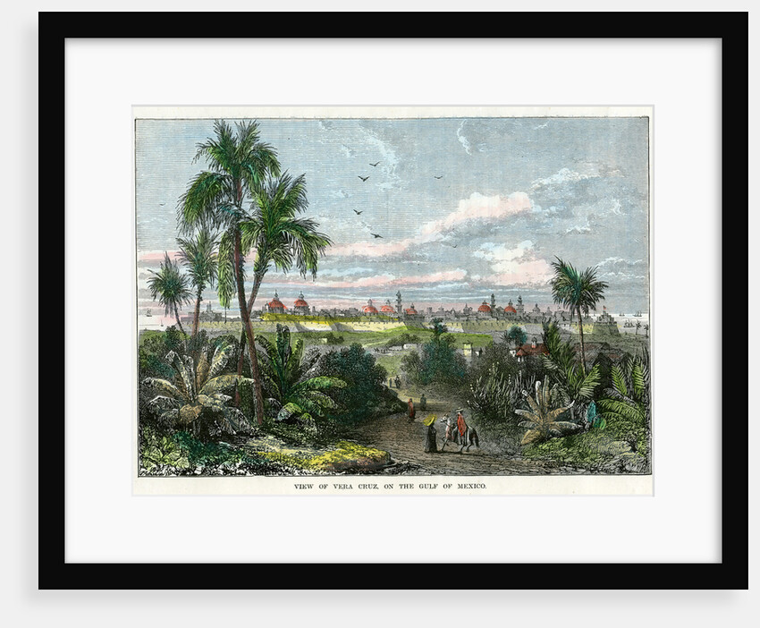 View of Vera Cruz, on the Gulf of Mexico' by Anonymous