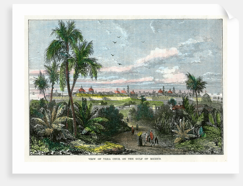 View of Vera Cruz, on the Gulf of Mexico' by Anonymous