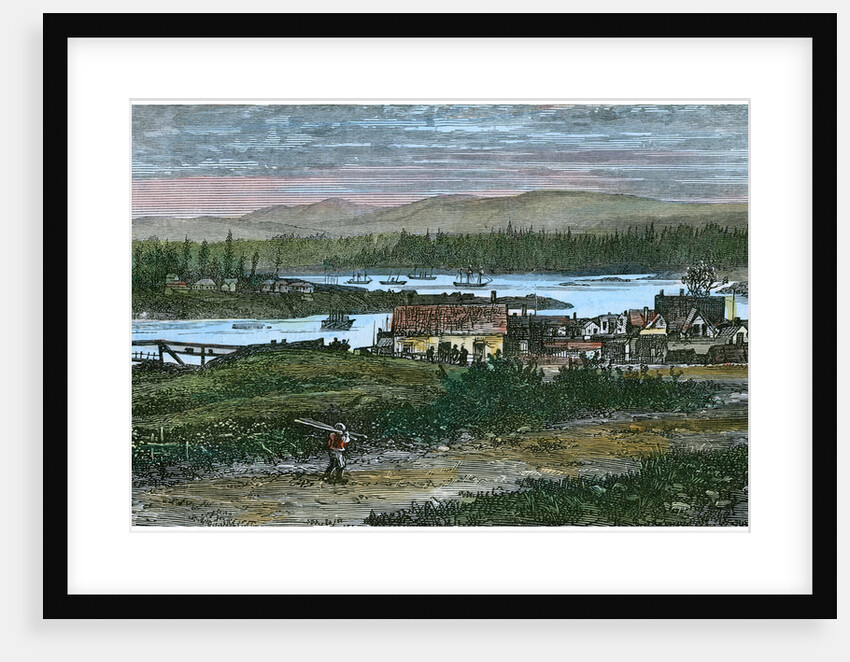 View of the western suburbs of Victoria, Vancouver Island, British Columbia, Canada by Anonymous