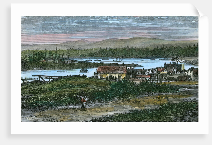 View of the western suburbs of Victoria, Vancouver Island, British Columbia, Canada by Anonymous