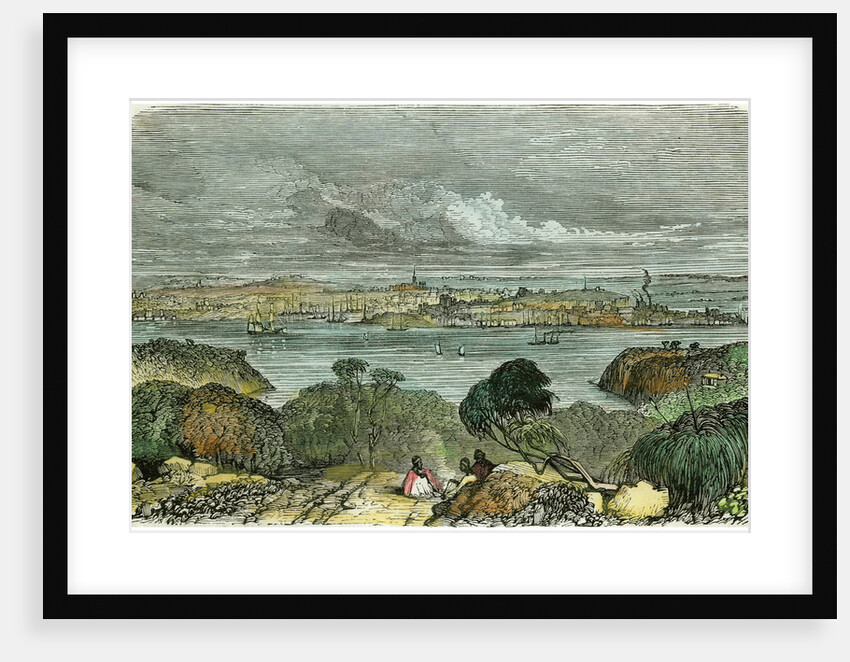 Sydney, New South Wales, Australia by Anonymous