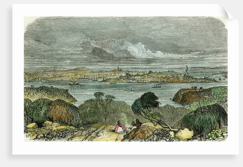 Sydney, New South Wales, Australia by Anonymous