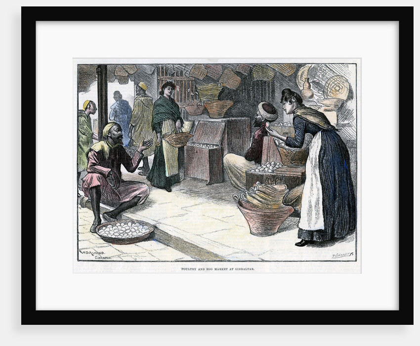 Poultry and egg market in Gibraltar by P Naumann