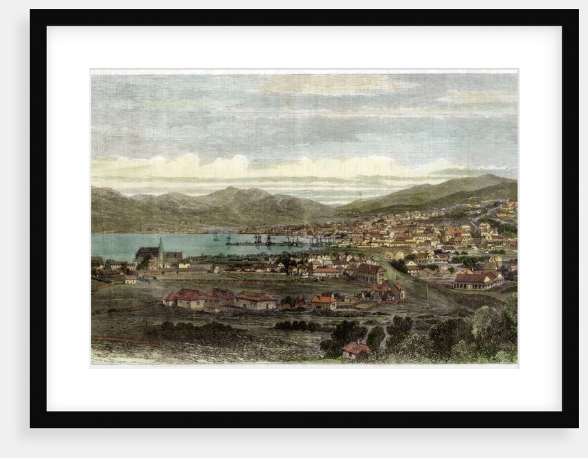 The town and port of Wellington, capital of New Zealand by Anonymous
