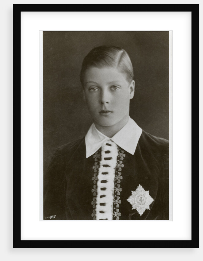 The Prince of Wales in his investiture robes by Campbell Gray