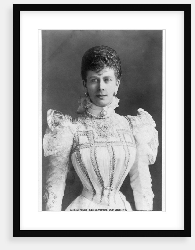 The Princess of Wales by Anonymous