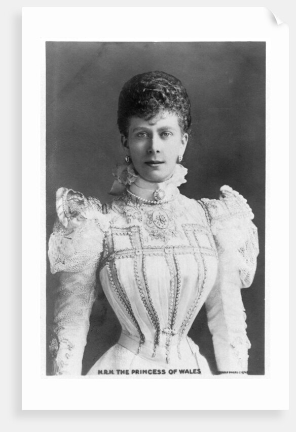 The Princess of Wales by Anonymous