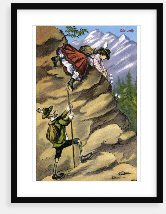 Edelweiss by Anonymous