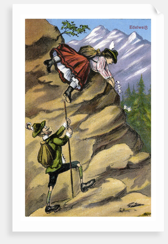 Edelweiss by Anonymous