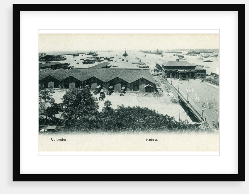 Colombo harbour, Ceylon by Anonymous