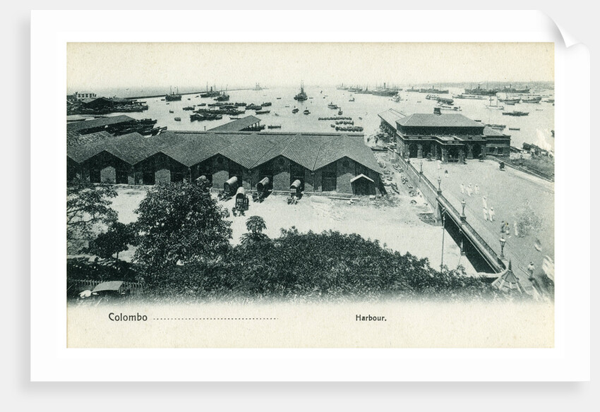 Colombo harbour, Ceylon by Anonymous