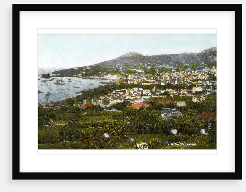 Funchal, Madeira by Anonymous