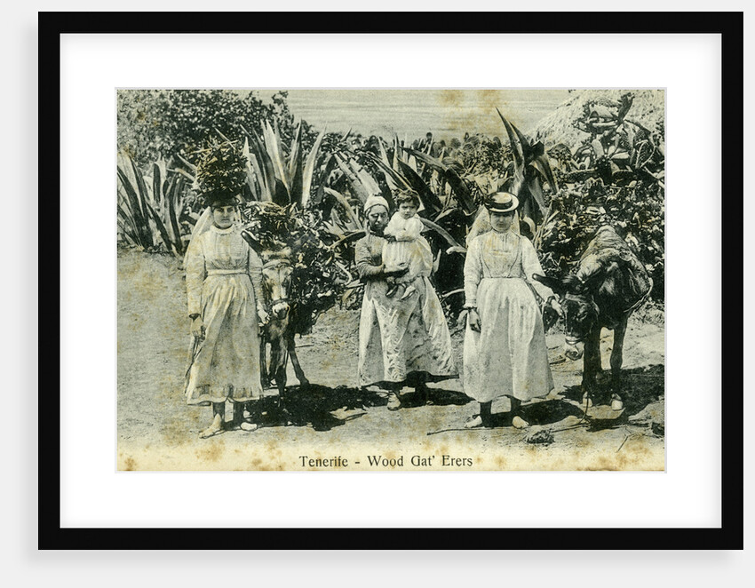 Wood gatherers, Tenerife, Canary Islands by Anonymous