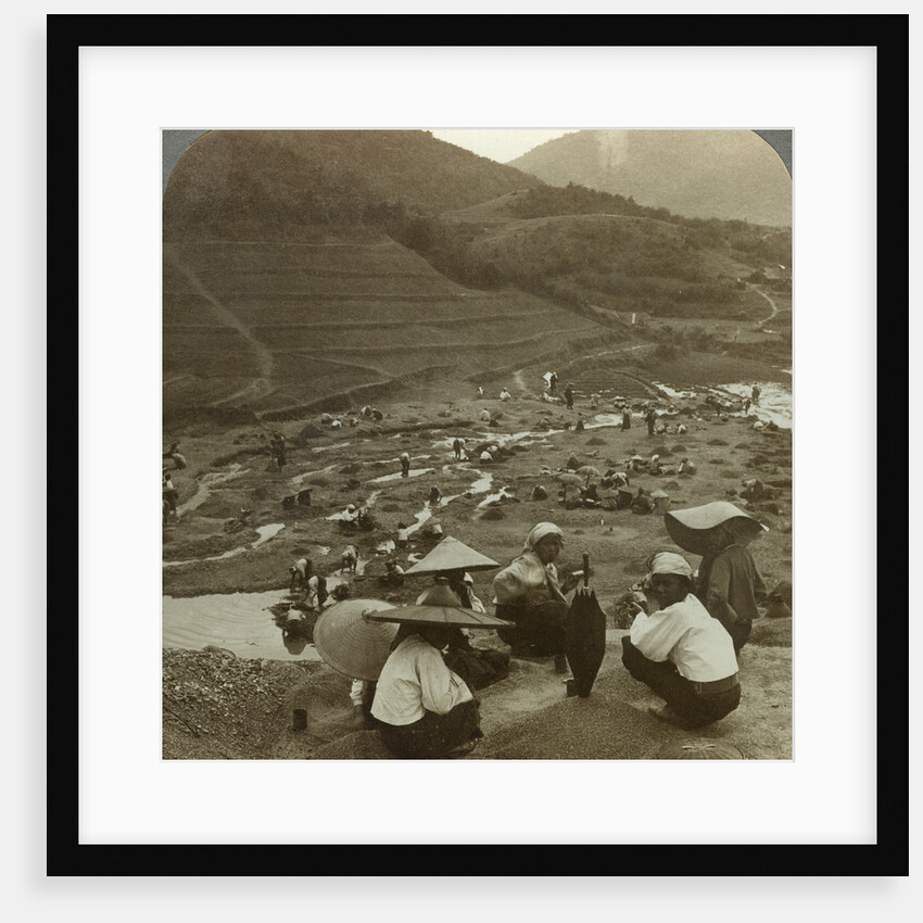 Dredging a river bed for rubies, Mogok, Burma by Underwood & Underwood