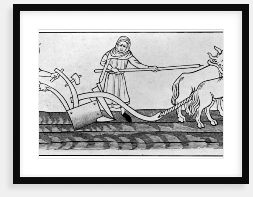 Ploughing by Anonymous