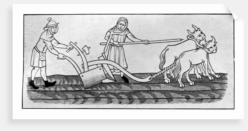 Ploughing by Anonymous