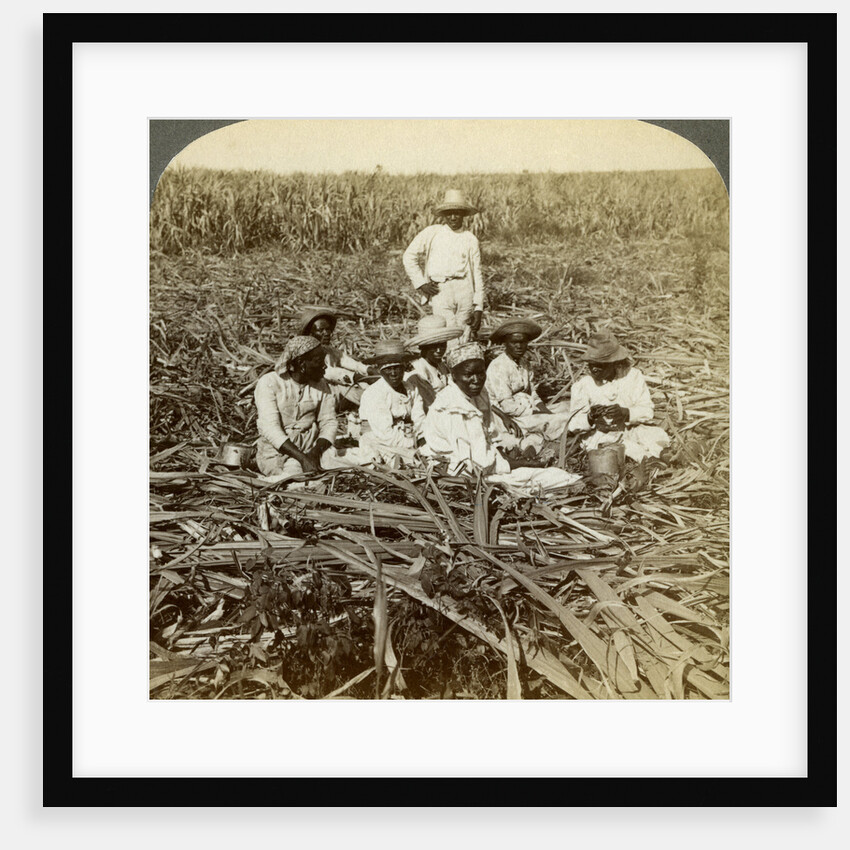 On 'La Union' sugar plantation, San Luis, Santiago Province, Cuba by Underwood & Underwood