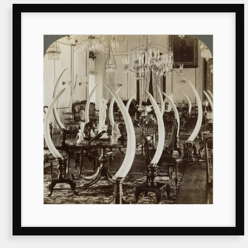 'Hall of Tusks,' in the home of Lady de Soysa, Bambalapitiya, Colombo, Ceylon by Underwood & Underwood