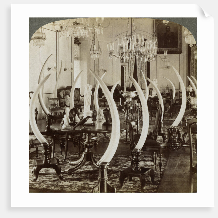 'Hall of Tusks,' in the home of Lady de Soysa, Bambalapitiya, Colombo, Ceylon by Underwood & Underwood