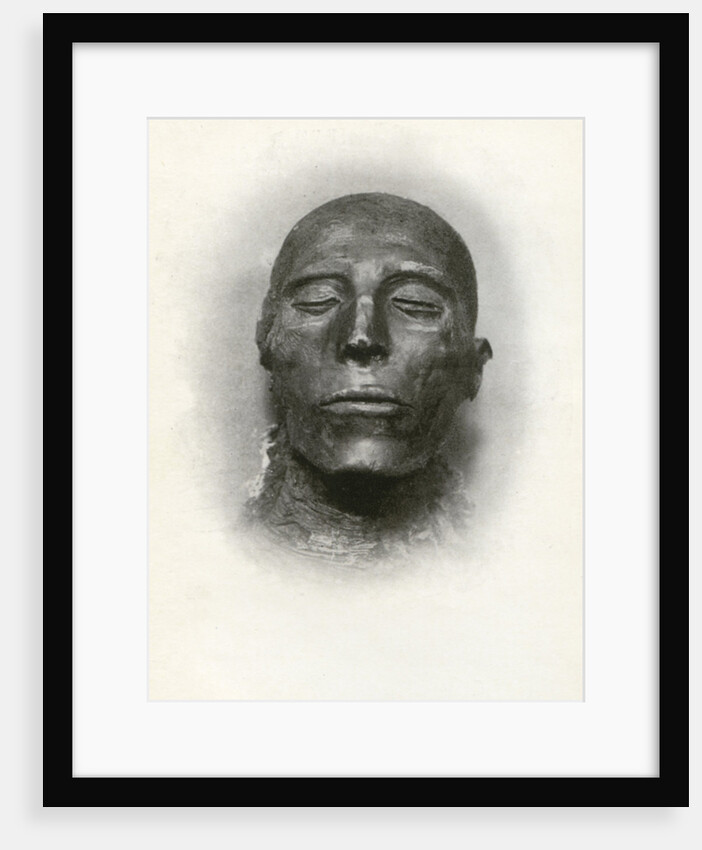 Head of the mummy of Sety I, Ancient Egyptian pharaoh of the 19th Dynasty by Winifred Mabel Brunton