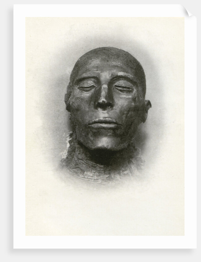 Head of the mummy of Sety I, Ancient Egyptian pharaoh of the 19th Dynasty by Winifred Mabel Brunton