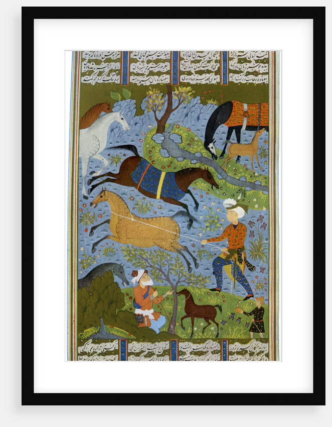 Mares and foals, Persia by Anonymous