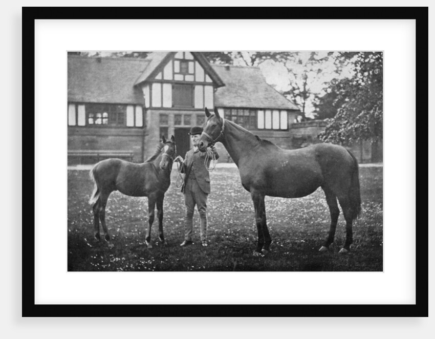Lily Agnes, with Orelio by Bend Or, winner of £4955 by Anonymous