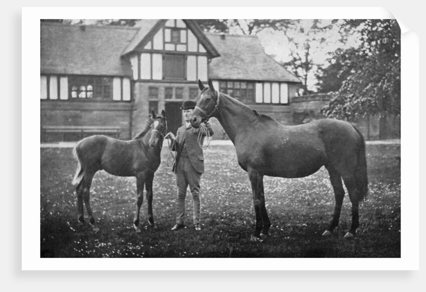 Lily Agnes, with Orelio by Bend Or, winner of £4955 by Anonymous