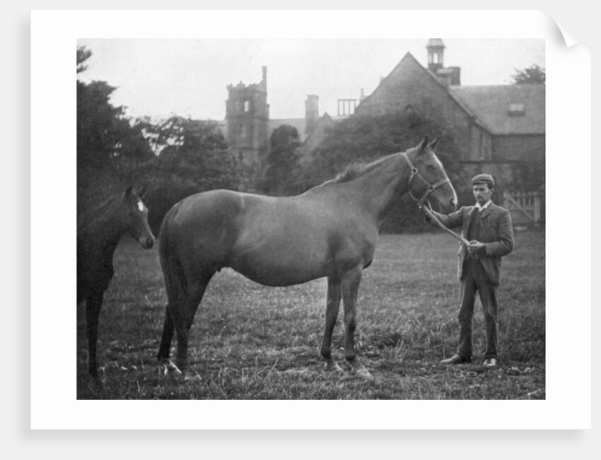 St Marguerite, British racehorse by Anonymous
