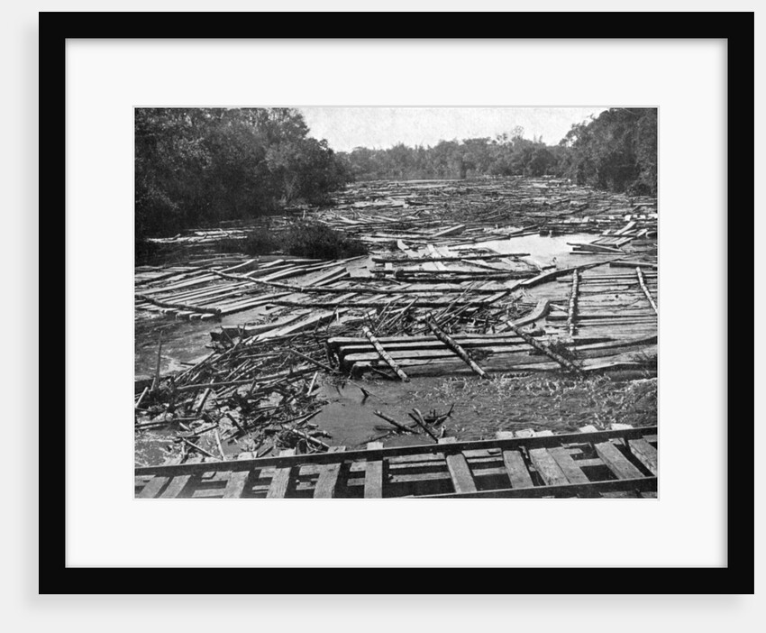 Cedar logs on the Tebicuary-Guazu River floating by the railway bridge, Paraguay by Anonymous