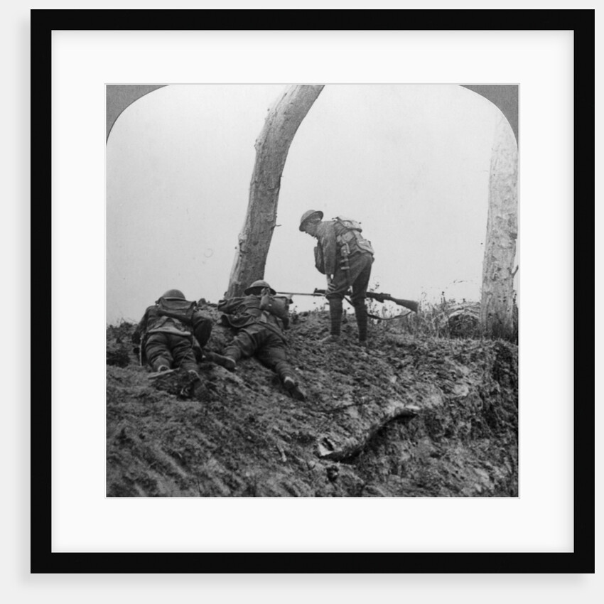 Battle of Polygon Wood, near Ypres, Flanders, Belgium, World War I, September 1917 by Realistic Travels Publishers