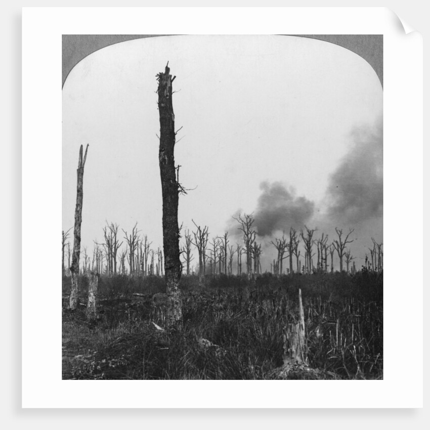 High explosive shells bursting in Mametz Wood, France, World War I by Realistic Travels Publishers