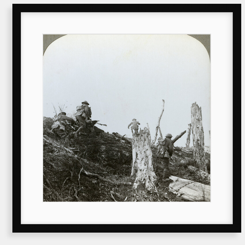 Assault in Trones Wood, Somme, France, World War I by Realistic Travels Publishers