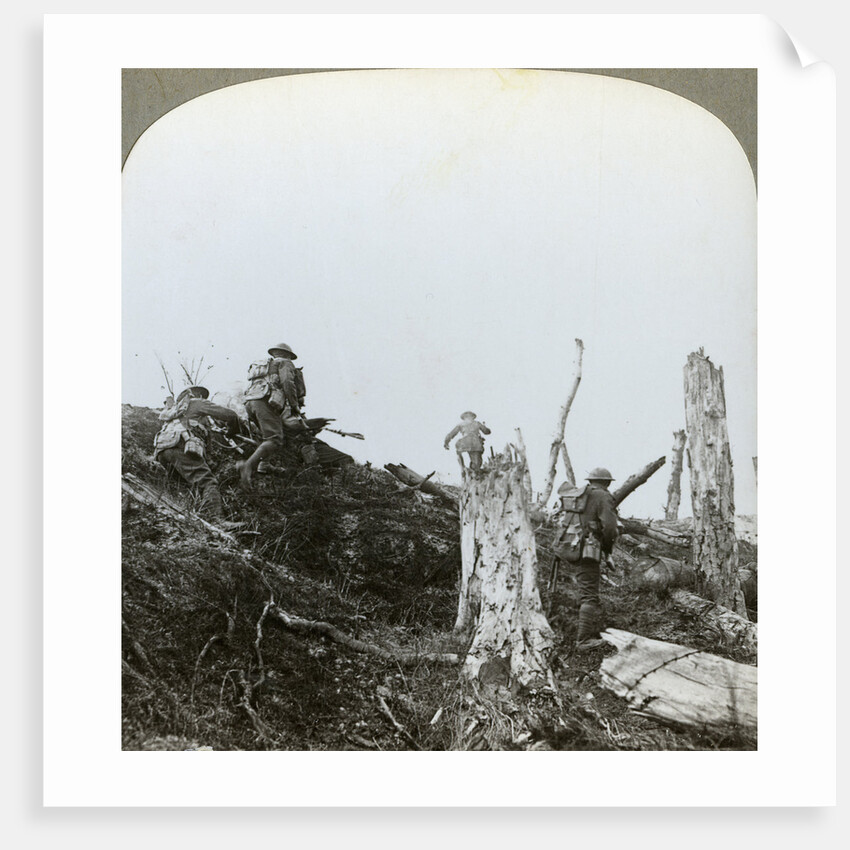 Assault in Trones Wood, Somme, France, World War I by Realistic Travels Publishers