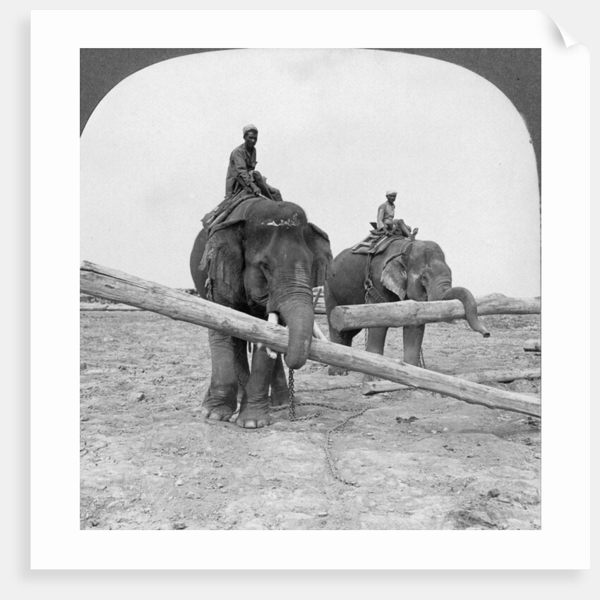 Elephants working in a lumber yard, Rangoon, Burma by Stereo Travel Co