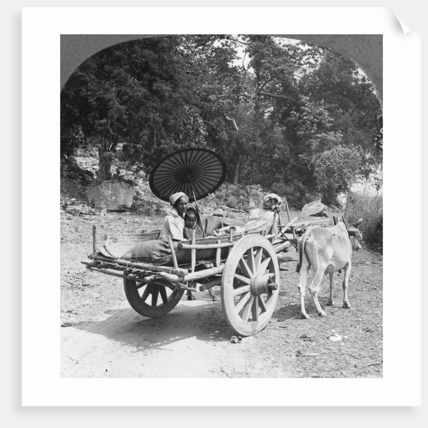Family journeying through the jungle near Mingun, Burma by Stereo Travel Co