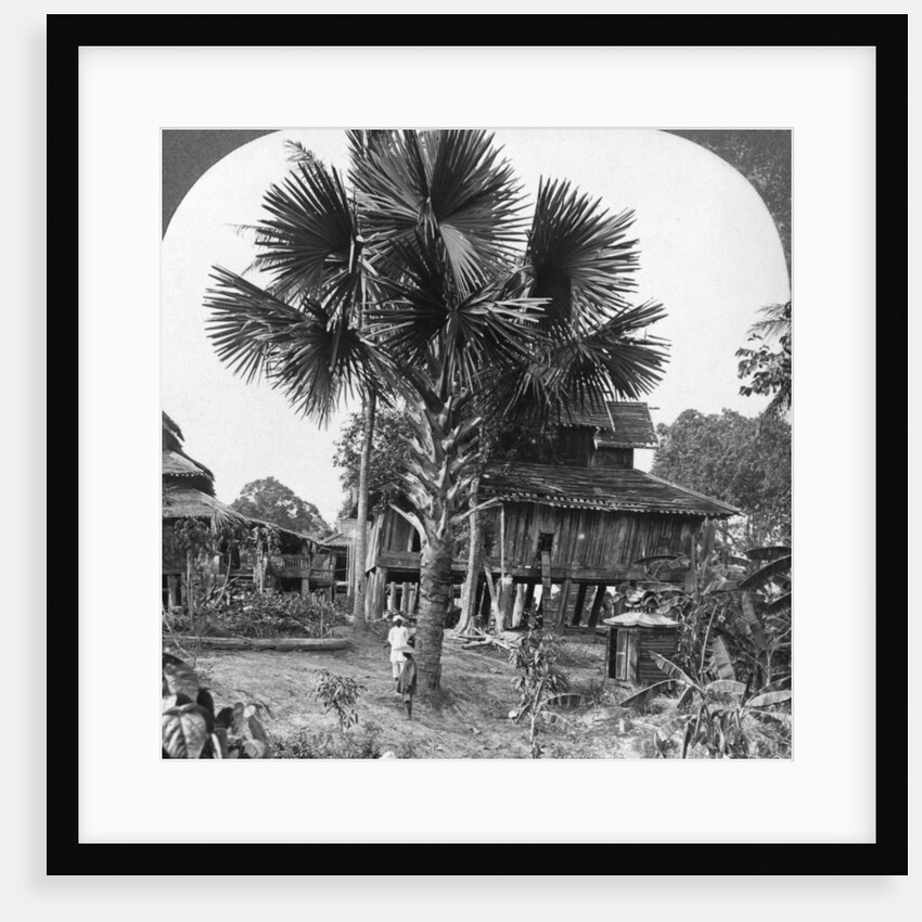 Native house built on piles, Bhamo, Burma by Stereo Travel Co