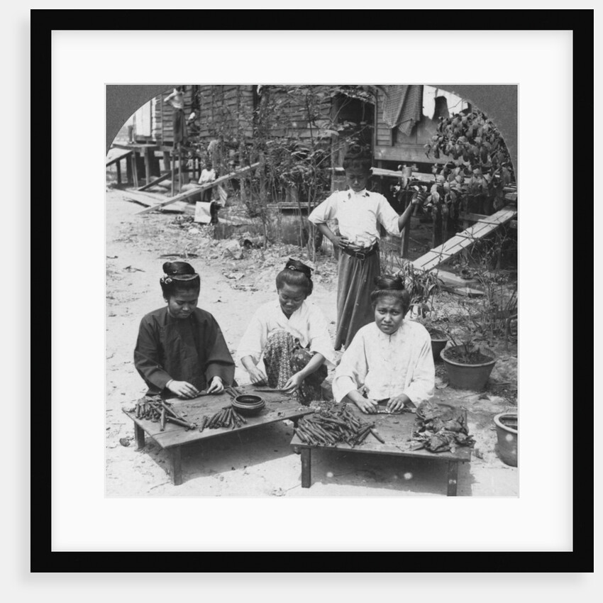 Making the huge cigars smoked by women, Burma by Stereo Travel Co