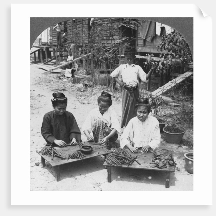 Making the huge cigars smoked by women, Burma by Stereo Travel Co