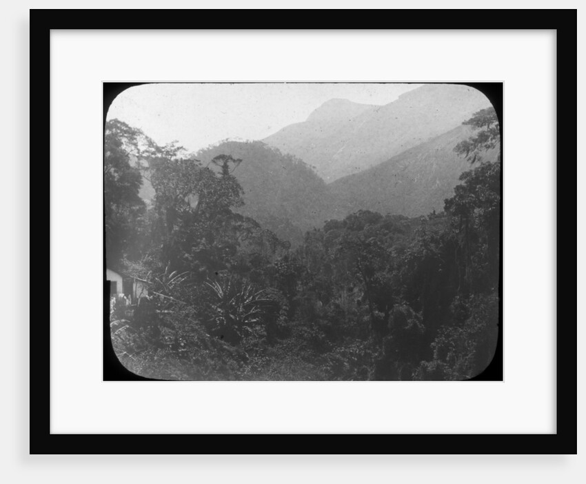 Near Petrópolis, Rio de Janeiro, Brazil by Anonymous