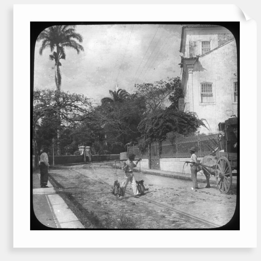 Street scene, Pernambuco, Brazil by Anonymous