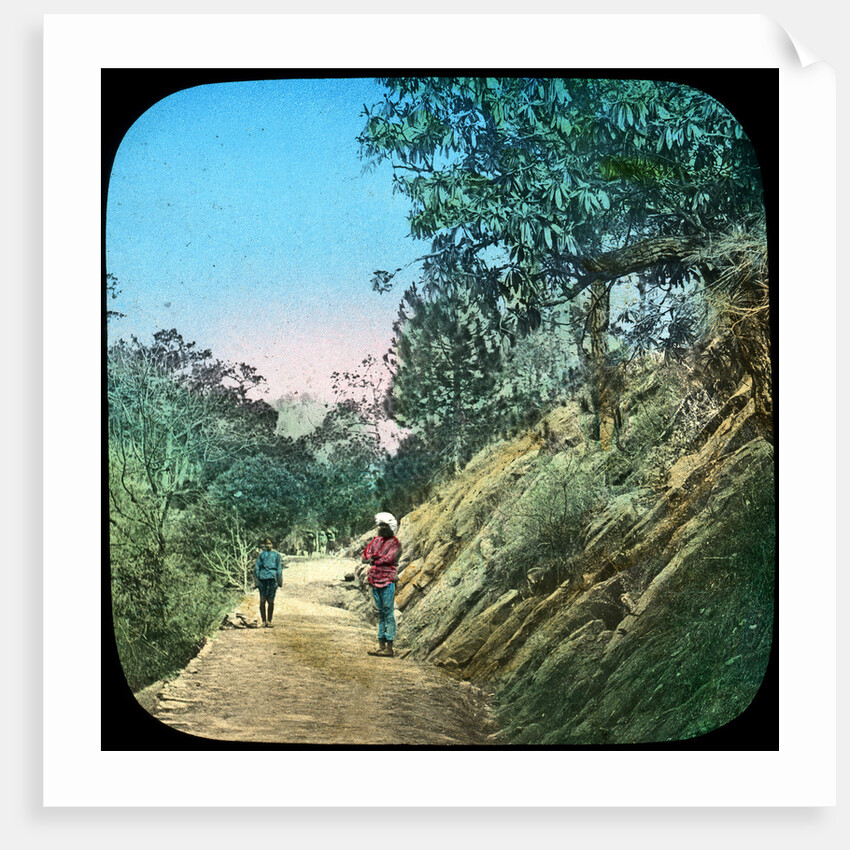 Scene on a road, Murree, India by Anonymous