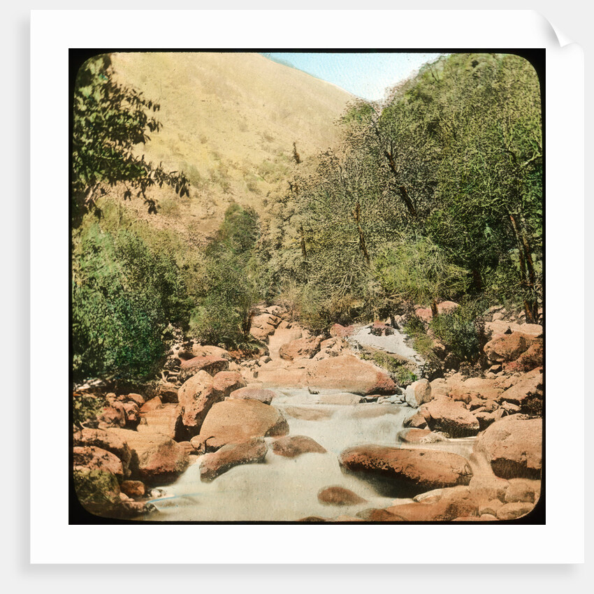 Sindh Valley, Kashmir, India by Anonymous