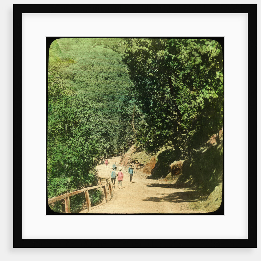 The Mall Road, Simla, India by Anonymous