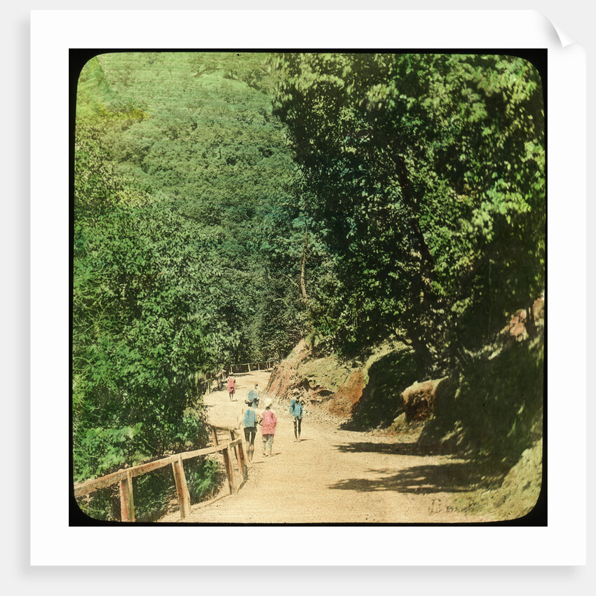 The Mall Road, Simla, India by Anonymous