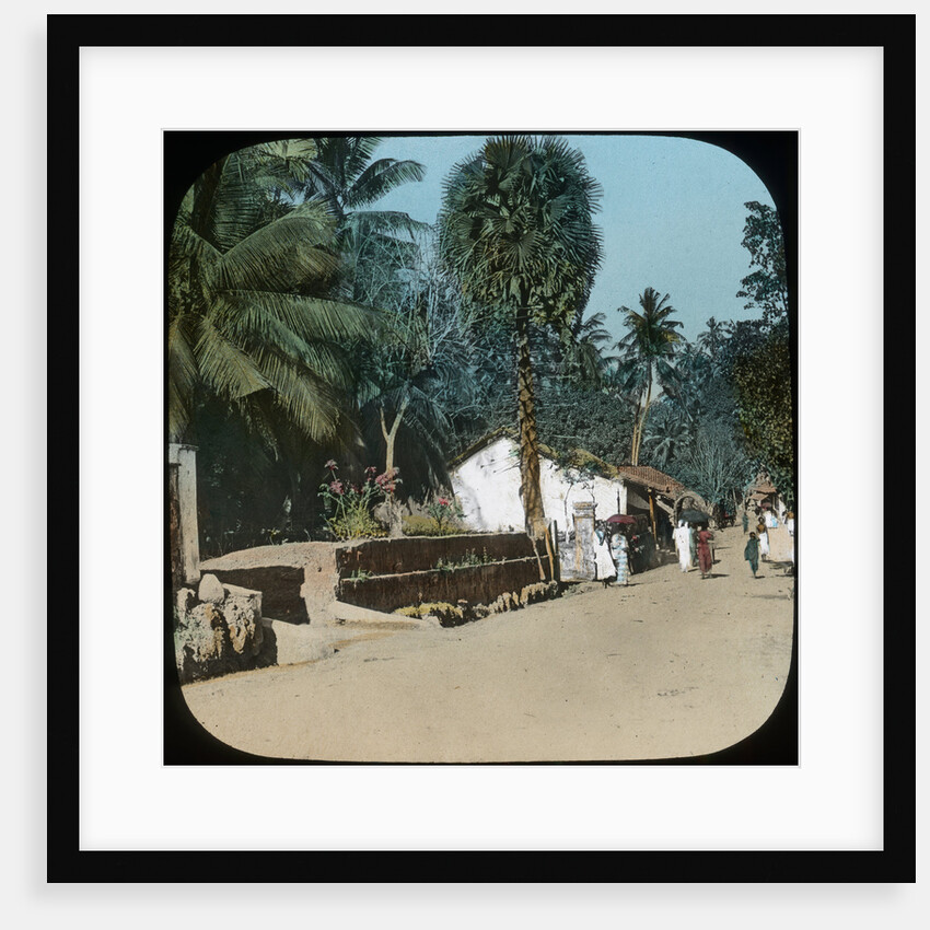 Road from Colombo to Galle, Colombo, Ceylon by Anonymous