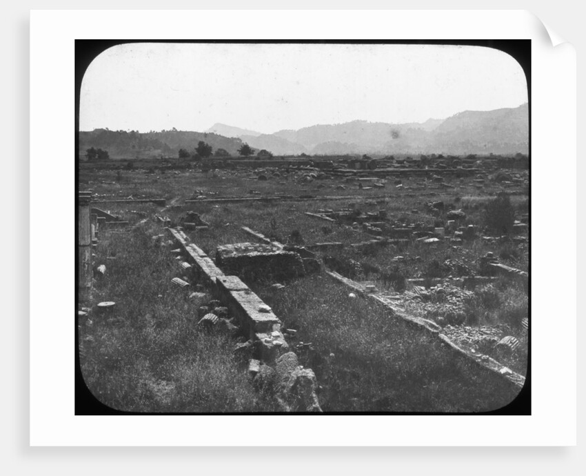 Olympia, Greece by Anonymous