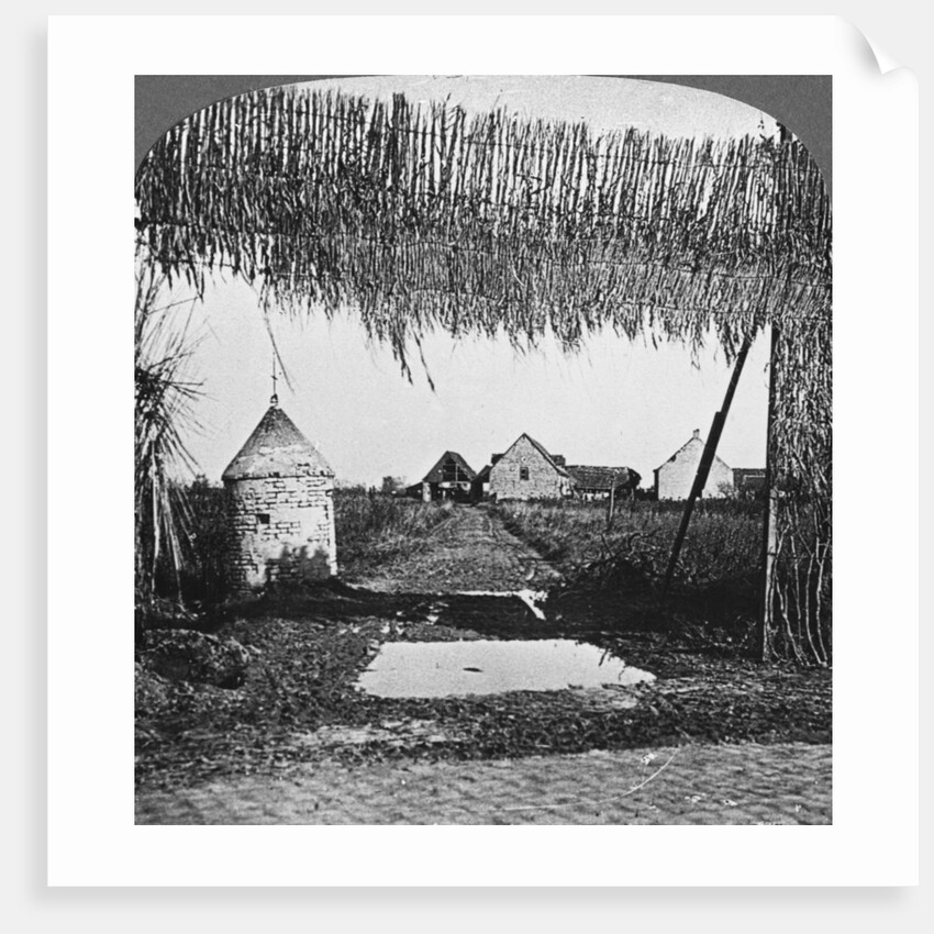 'Ingenious camouflage', World War I by Realistic Travels Publishers