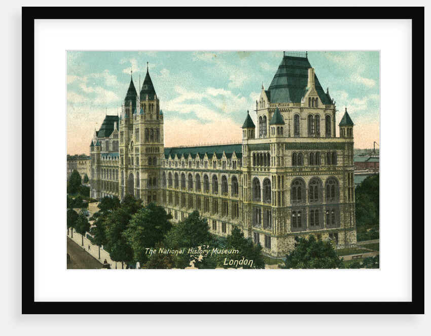 The National History Museum, London by Anonymous